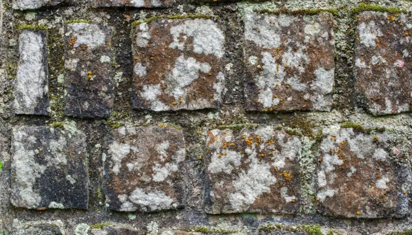 Moos und Flechten bedecken die rauen Pflastersteine und verleihen ihnen eine natürliche, verwitterte Textur.