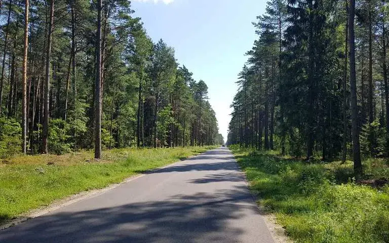 Wielbark atrakcje: odkryj ukryte skarby i niezapomniane miejsca