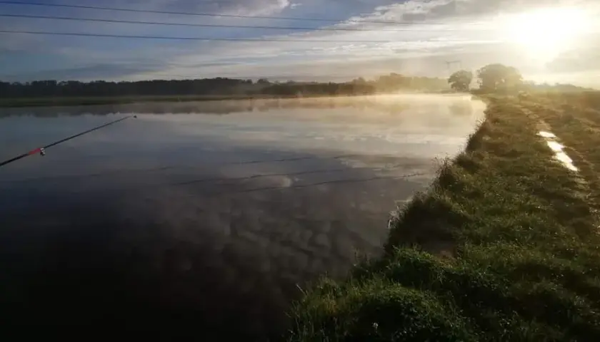 Rogów Legnicki łowisko - idealne miejsce na wędkarskie przygody
