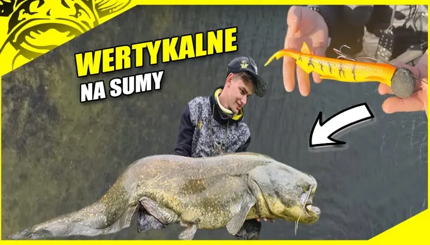 Przynęta na suma: Jak przechytrzyć "wąsatego króla"? Poradnik