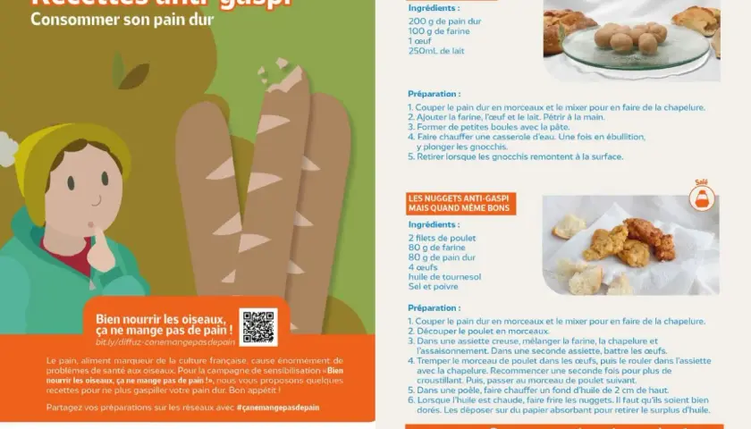Recettes anti-gaspi : que faire avec du pain dur ? Gnocchis et nuggets anti-gaspi pour ne plus gaspiller. #çanemangepasdepain