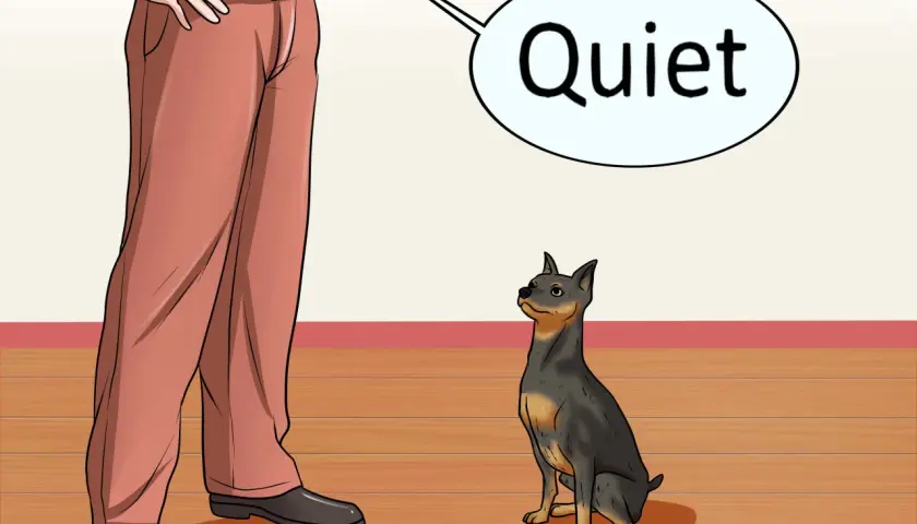 Ein Hund bellt mich an, wenn ihm was nicht passt. Hier sagt er "Quiet".