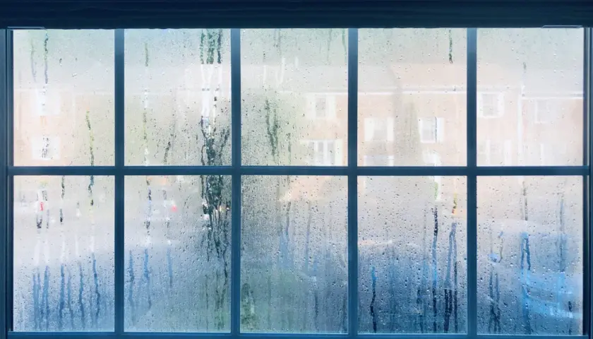 Mokre okna rano? Poznaj przyczyny i raz na zawsze rozwiąż problem!