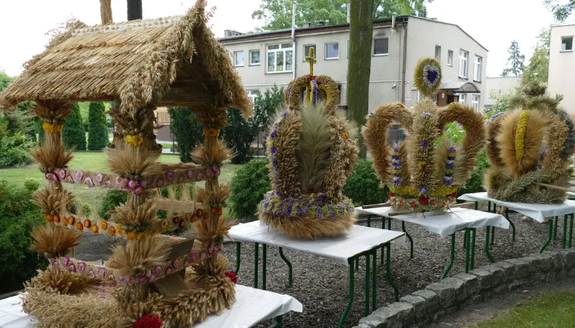 Kwiaty ze zboża jak zrobić: Twórz piękne dekoracje na żniwa