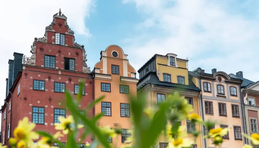 Bunte Häuserfassaden in Stockholm, ein malerischer Anblick, der zu den Stockholm Geheimtipps gehört. Gelbe Blumen blühen im Vordergrund.