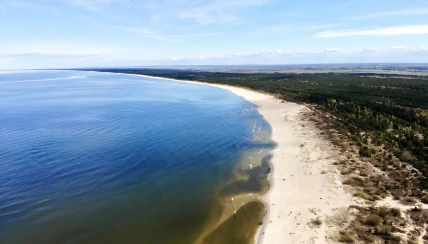Szeroka, piaszczysta plaża Mikoszewo ciągnie się wzdłuż spokojnego morza, a za nią rozciąga się gęsty las.
