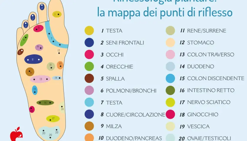 Mappa della riflessologia plantare: punti di riflesso per testa, occhi, stomaco, intestino e altre aree, utile per comprendere la plantologia del piede e le malattie correlate.