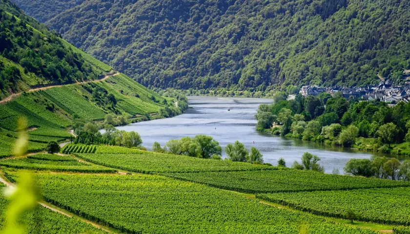 Idyllisches Zelten in Deutschland: Weinberge und Flussufer im Moseltal. Ein perfekter Ort für Naturfreunde.