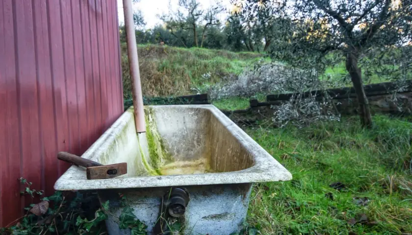 Oczko wodne z wanny, obok czerwonej ściany, z młotkiem na brzegu. W tle zielona trawa i drzewa.