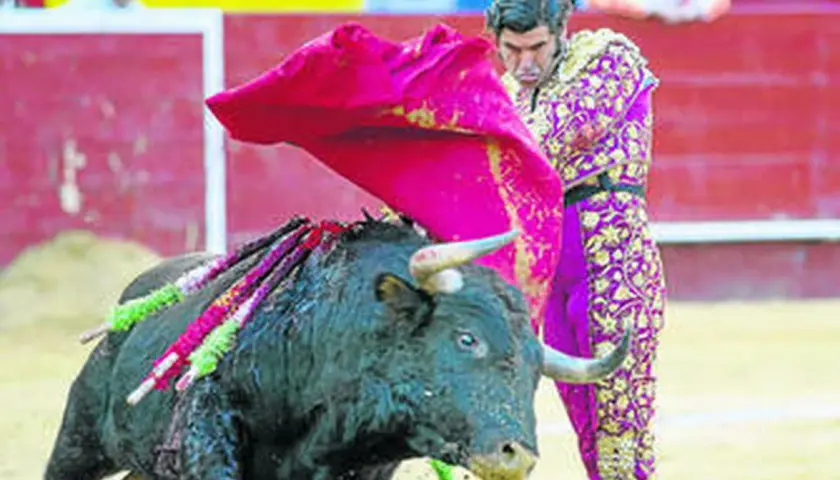 Morante de la Puebla, con su traje de luces, se enfrenta a un toro bravo en la arena.