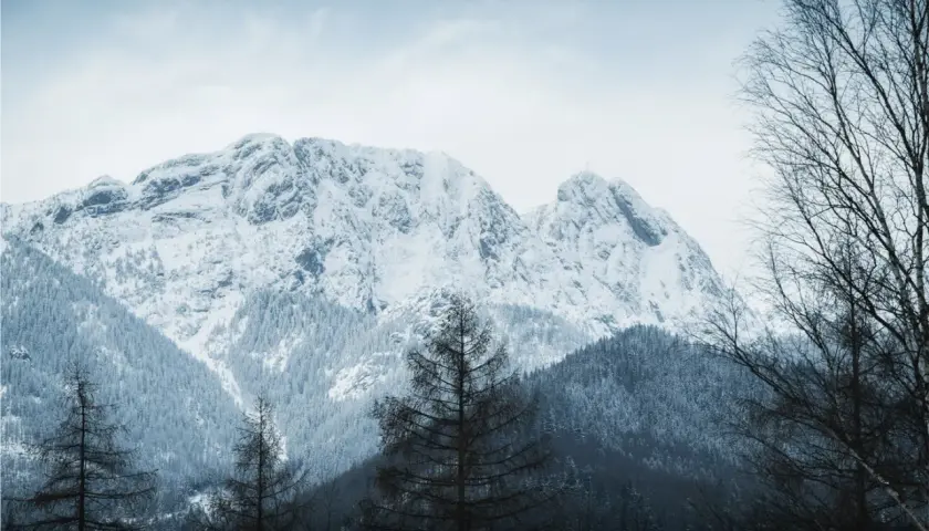 Śnieżne szczyty gór zimą dla początkujących. Widok na ośnieżone pasmo górskie z lasem iglastym i drzewami liściastymi na pierwszym planie.