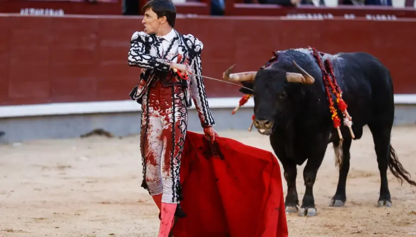 Un torero, con traje de luces manchado de sangre, se enfrenta a un toro bravo. Es una escena de **que es la tauromaquia en España**, un arte controvertido.