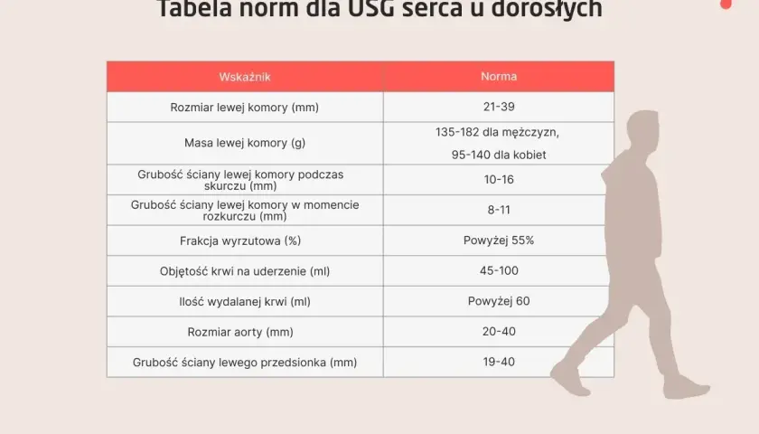 Tabela norm dla USG serca. Sprawdź, co to jest echo serca i jakie są prawidłowe wartości dla dorosłych.
