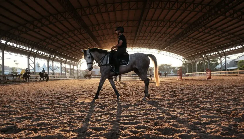 Cavalier sur un cheval gris dans une carrière couverte. Le soleil couchant crée de longues ombres. Idéal pour un cour d'équitation pour débutant, prix abordable.