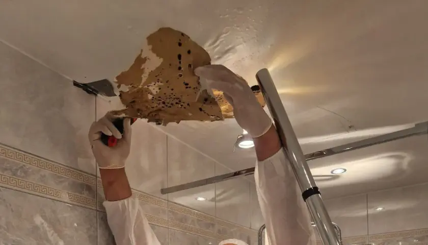Person in Schutzkleidung entfernt feuchte Deckenplatten. Der Schaden ist sichtbar, die Decke nass und löst sich ab.