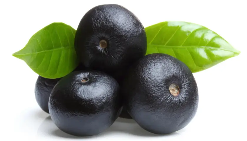 Acai, piccoli frutti viola scuro con foglie verdi, noti per le loro eccezionali proprietà benefiche.