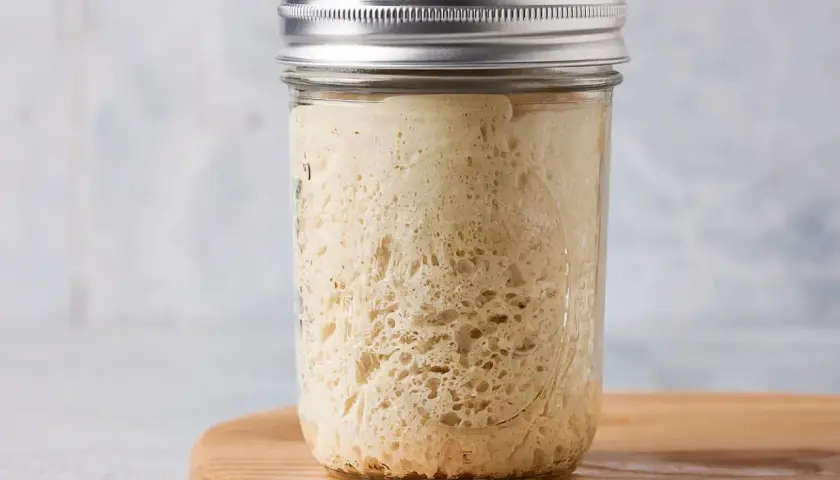 Aktiver Sauerteig im Glas, bereit für die nächste Brotbäckerei. So lässt sich Lievito Madre aufbewahren.