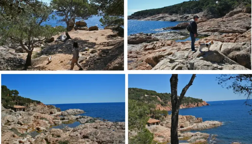 Disfrutando del camí de ronda en Tamariu, con vistas al mar azul y la costa rocosa. Un paseo con perro por senderos naturales.