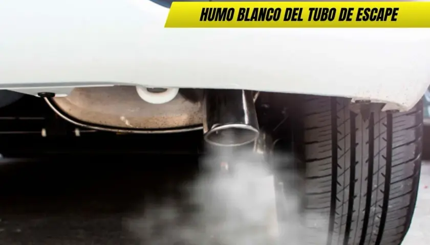 Humo blanco escapa del tubo de escape de un coche, indicando posible problema.