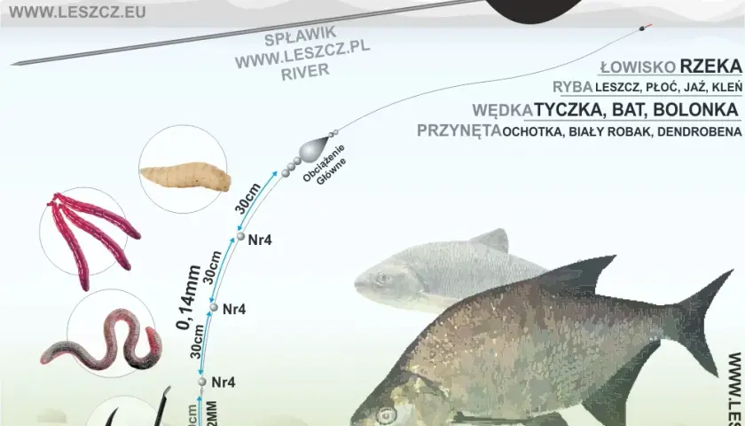 Wędka Feeder: Na Jakie Ryby i Gdzie Łowić? Kompletny Przewodnik