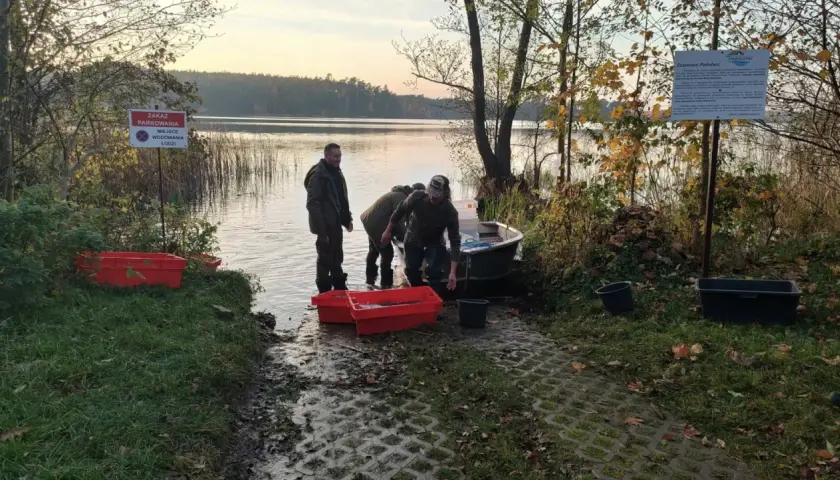 Ludzie wyładowują ryby z łodzi do czerwonych pojemników nad jeziorem.