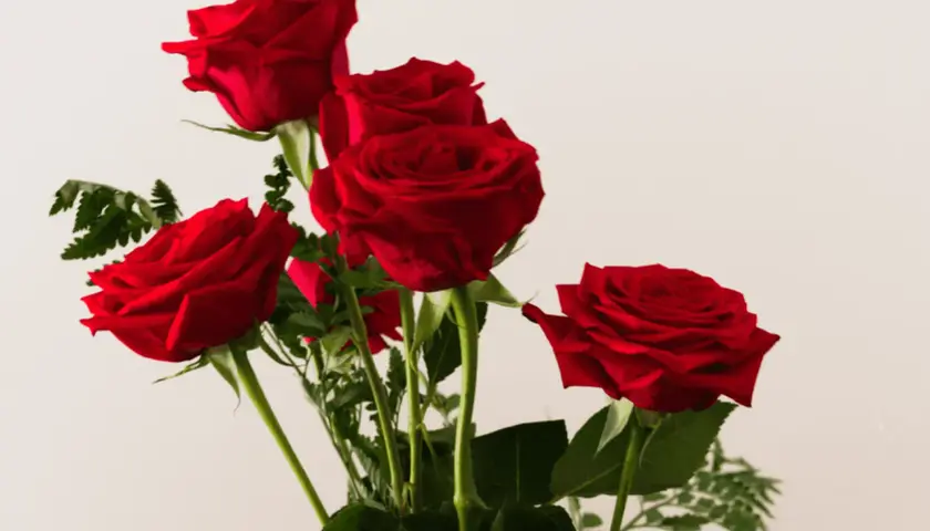 Cinq roses rouges, symbole d'amour passionné. Un bouquet pour exprimer des sentiments profonds.