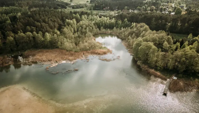 Malownicze jezioro Świętajno otoczone lasami i trzcinami. Widoczny drewniany pomost i piaszczyste dno.
