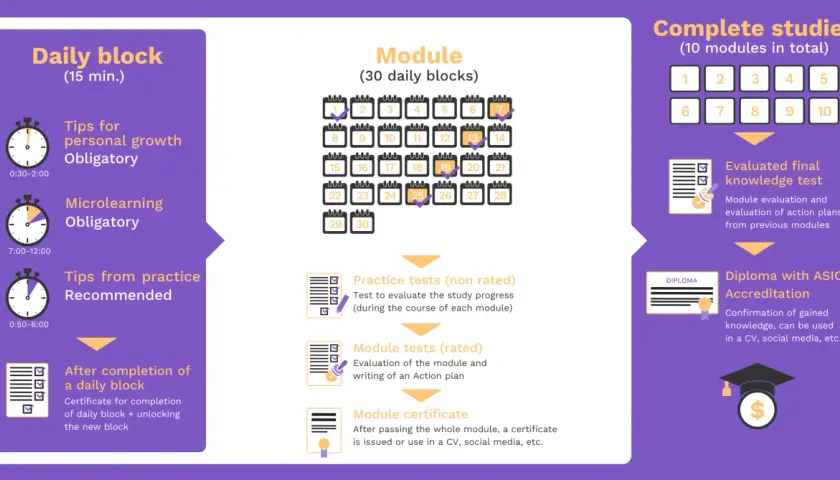 Infographic detailing the structure of an online MPA program, including daily blocks, modules, tests, and final accreditation.