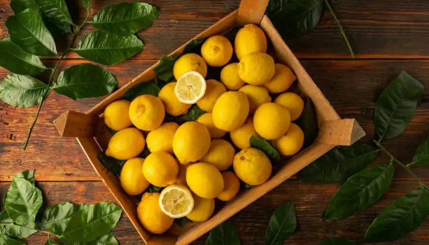 Une caisse remplie de citrons jaunes éclatants, parfaits pour savoir que faire avec beaucoup de citrons jaunes. Des feuilles vertes luxuriantes entourent le tout.