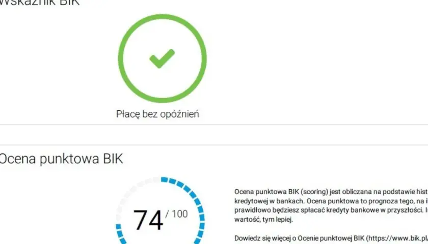 BIK: Sprawdź historię kredytową krok po kroku. Zyskaj kontrolę!
