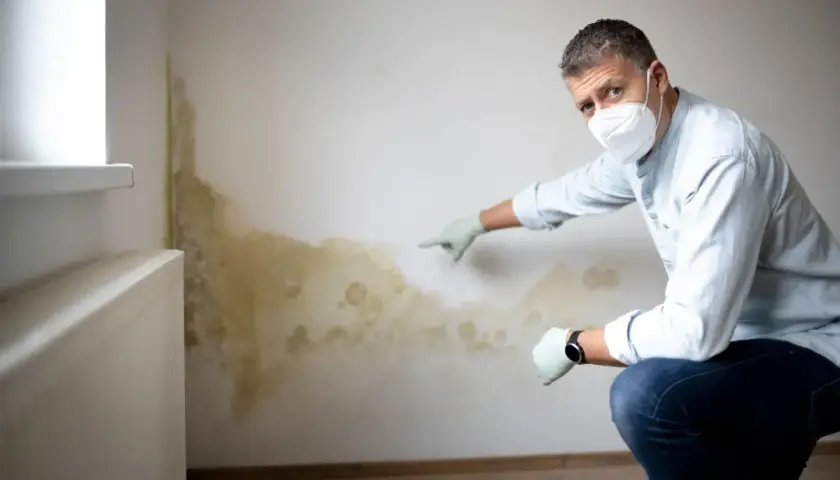 Mann mit Maske und Handschuhen zeigt auf Schimmel an der Wand. Er sucht nach Hausmitteln, um Feuchtigkeit aus der Wand zu ziehen.