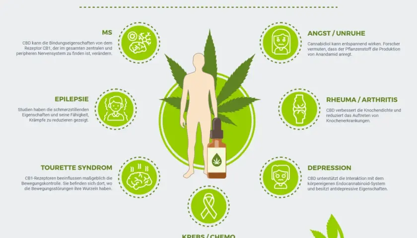 Was ist Cannabidiol? Die Grafik zeigt, wie CBD auf MS, Epilepsie, Tourette, Angst, Rheuma, Depression und Krebs wirkt.