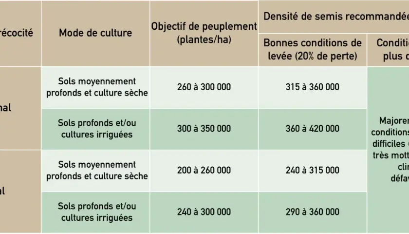 Tableau comparant la densité de semis de sorgho selon le groupe de précocité, le mode de culture et les conditions de levée.