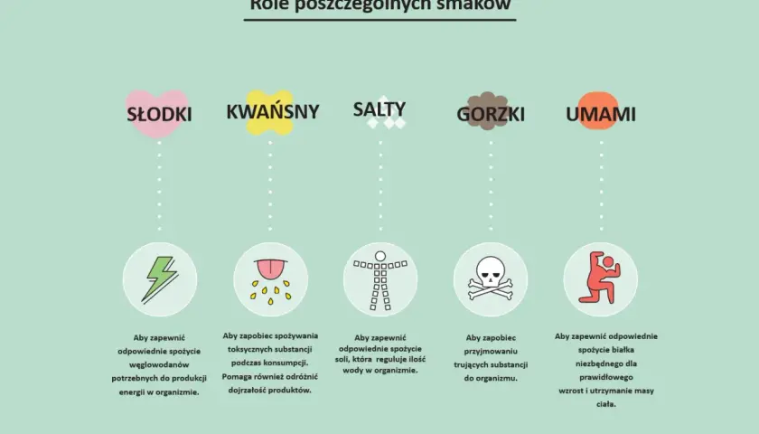 Ilustracja przedstawia role pięciu smaków: słodkiego, kwaśnego, słonego, gorzkiego i umami, z ikonami i opisami.