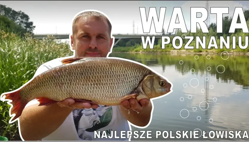 Warta gdzie na ryby: najlepsze miejsca i techniki wędkarskie