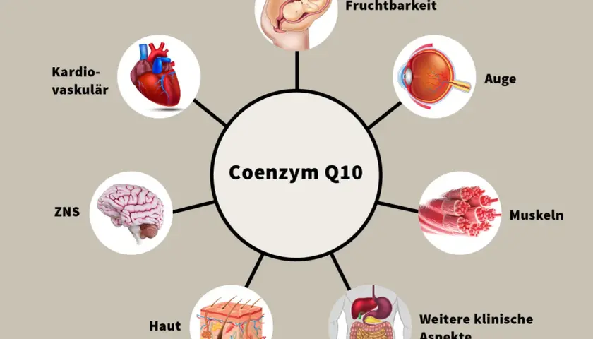 Coenzym Q10 ist wichtig für Herz, Gehirn, Augen, Haut, Muskeln, Fruchtbarkeit und weitere klinische Aspekte. Ein Mangel kann diese Bereiche beeinträchtigen.