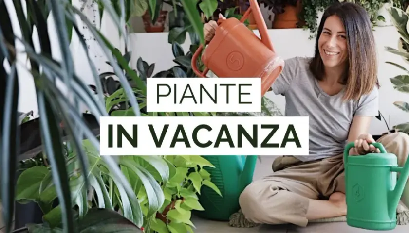 Donna sorridente con annaffiatoi, circondata da piante rigogliose. Impara come innaffiare le piante in vacanza per mantenerle sane.