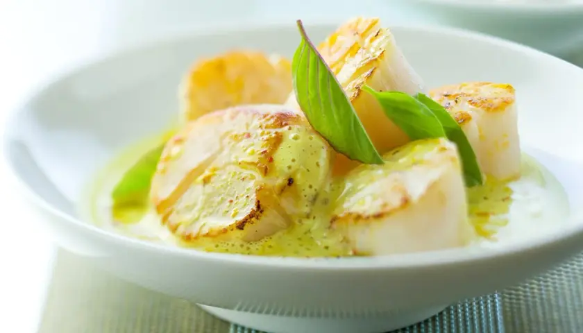 Délicieuses noix de saint-jacques poêlées, nappées d'une sauce onctueuse au curry et vin blanc, garnies de feuilles vertes.