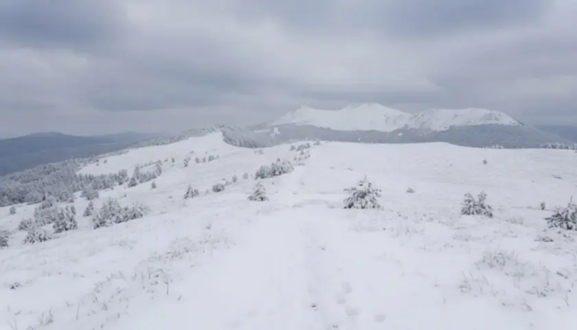 Śnieżna trasa w górach, z samotnymi smrekami i łagodnymi wzniesieniami pod zachmurzonym niebem.