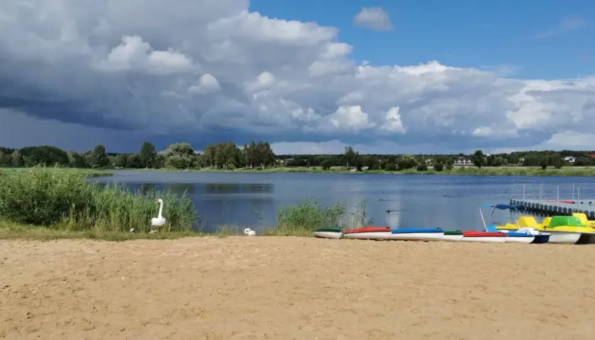 Plaża z łabędziami i kolorowymi rowerami wodnymi nad jeziorem w Grabicy.