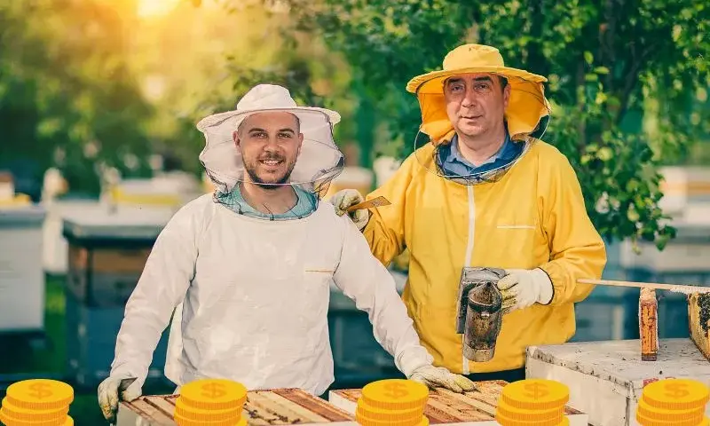 Ile można zarobić na miodzie? Realna analiza zysków z własnej pasieki
