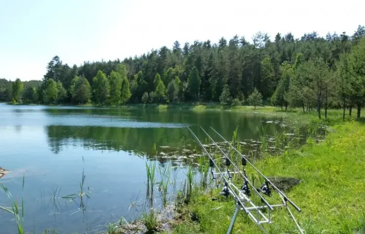 Cennik łowiska Całowanie: Sprawdź, ile zapłacisz za wędkowanie