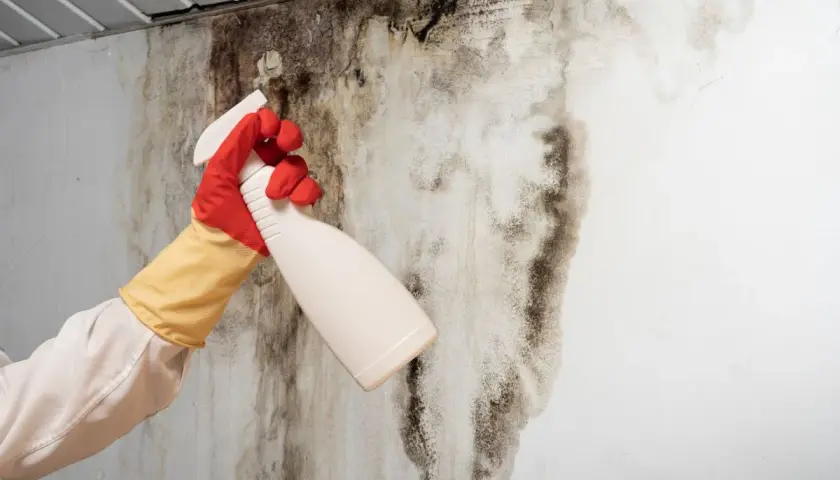 Mano con guanti che spruzza un prodotto su un muro macchiato di muffa, segno di elevata umidità nell'aria.