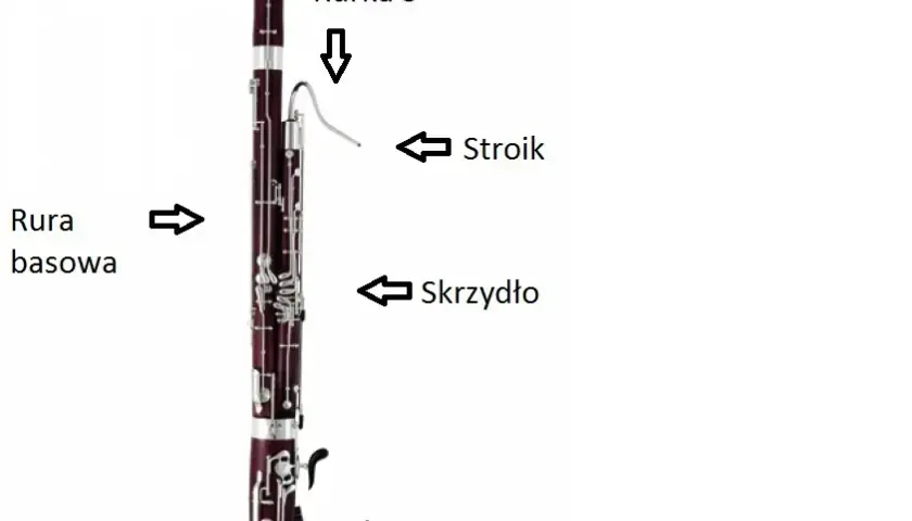 Fagot - instrument orkiestralny, historia, budowa, cena, nauka gry