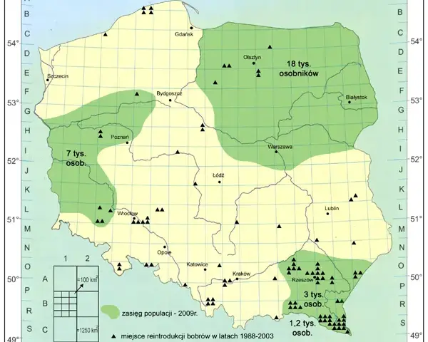 Gdzie leżą Suwałki? Odkryj ich wyjątkowe położenie w Polsce