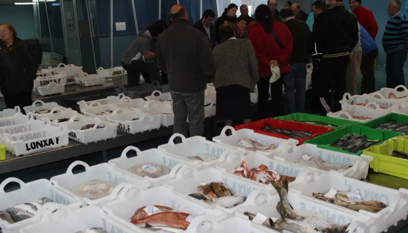 Mercado de pescado con lonja de Finisterre. Cajas blancas llenas de pescado fresco, algunas con etiquetas.