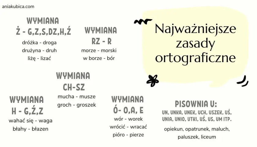Najważniejsze zasady ortograficzne: wymiana rz po spółgłoskach, ch-sz, h-g,ź,z, ó-o,a,e. Pisownia u.