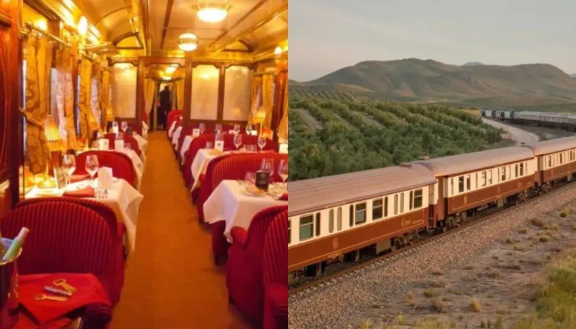 Interior lujoso de un vagón restaurante y un tren panorámico atravesando un paisaje de olivos, evocando un viaje de ensueño como el tren San Fernando Madrid.