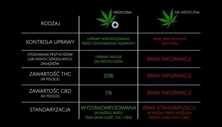 Medyczna marihuana z THC: Jak działa, ile go jest, czy uzależnia?