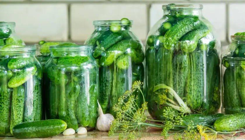Jak kisić ogórki w garnku - proste kroki, które ułatwią fermentację